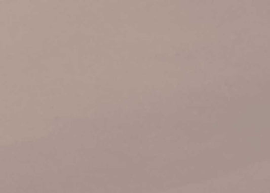 Additional Pair Of Pillow Cases - Anemone