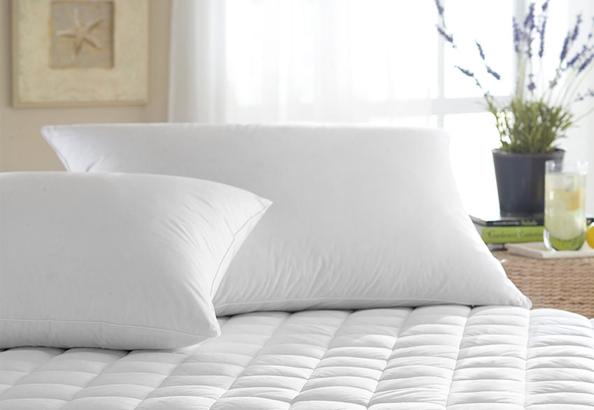 Intera White Goose Down Pillow